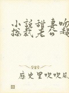 小说甜妻吻安:总裁老公超棒的