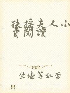 扶摇夫人小说免费阅读