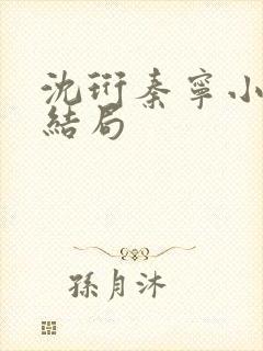 沈珩秦宁小说大结局