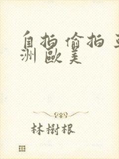 自拍 偷拍 亚洲 欧美