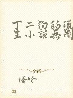 丁二狗的猎艳人生小说无删减下载