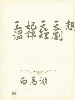 王妃天天想休夫温锦短剧封面