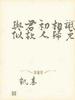 与君初相识·恰似故人归免费看