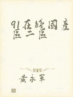 91在线国产一区二区