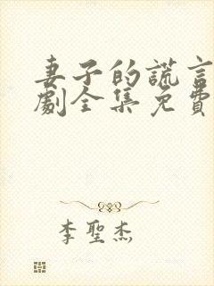 妻子的谎言电视剧全集免费完整封面