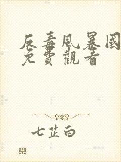 反毒风暴国语版免费观看