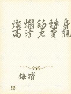 灿烂的转身短剧高清免费观看