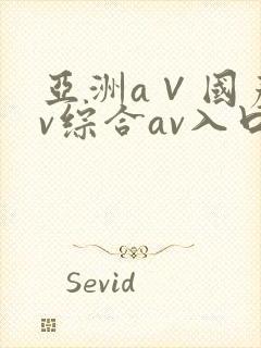 亚洲a∨国产av综合av入口