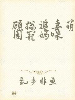 顾总追妻萌宝的团宠妈咪