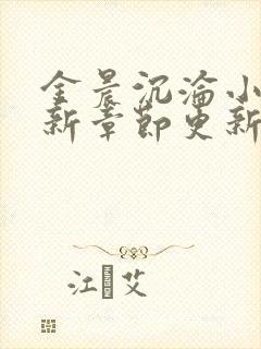 金晨沉沦小说最新章节更新内容封面