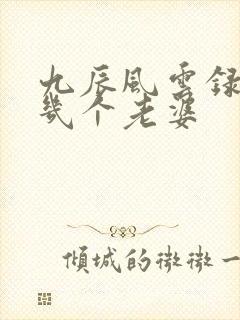 九辰风云录男主几个老婆