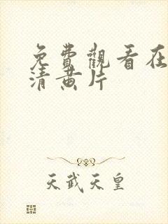 免费观看在线高清黄片封面