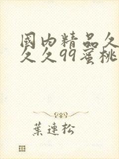 国内精品久久久久久99蜜桃