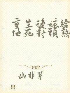 重生后嫁给渣男他死对头热播短剧封面