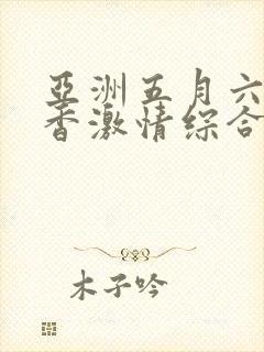 亚洲五月六月丁香激情综合网