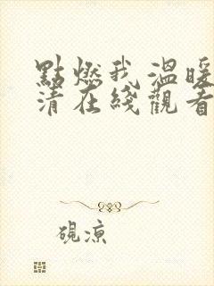 点燃我温暖你高清在线观看电视剧