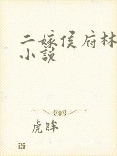 二嫁侯府林月鸣小说封面