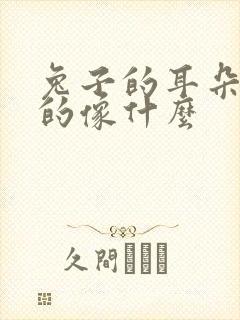 兔子的耳朵长长的像什么