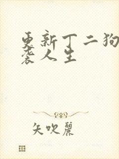 更新丁二狗的逆袭人生