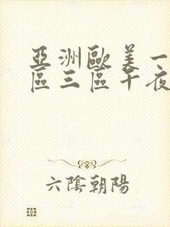 亚洲欧美一区二区三区午夜寻欢封面