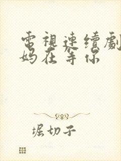 电视连续剧 妈妈在等你