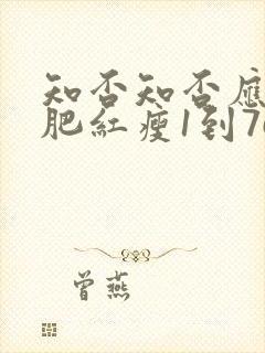 知否知否应是绿肥红瘦1到76集免费封面