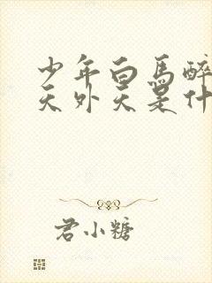 少年白马醉春风天外天是什么地方封面