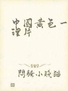 中国黄色一级伦理片