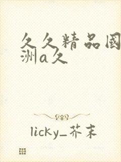 久久精品国产亚洲a久