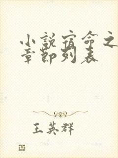 小说宿命之环新章节列表