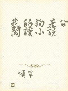 我的狗老公在线阅读小说封面