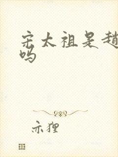 宋太祖是赵匡胤吗