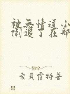 被无情道小师弟倒追了在哪里看封面