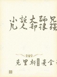 小说大师兄是个凡人却很强