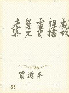 老舅电视剧40集免费播放