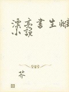 漂亮书生雌堕后小说