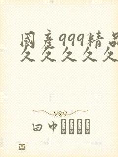 国产999精品久久久久久封面