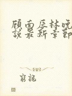 顾南辰林晚意小说最新章节