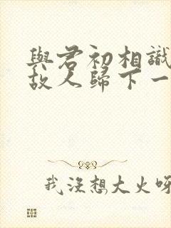 与君初相识恰似故人归下一句封面