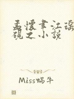 孟怀聿江瑶月沈砚之小说封面