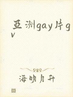 亚洲gay片gv封面