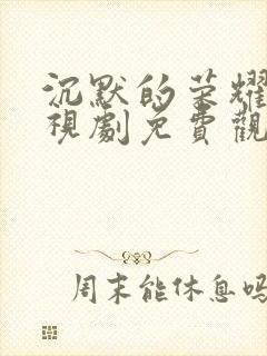 沉默的荣耀 电视剧免费观看全集