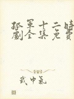 孤军十二时电视剧全集免费播放