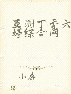 亚洲丁香六月婷婷综合网封面