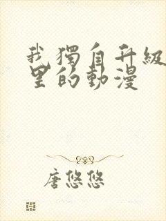 我独自升级是哪里的动漫