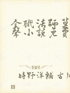 全职法师莫凡有声小说免费全本完整版