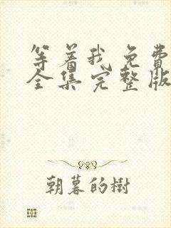 等着我免费观看全集完整版在线播放