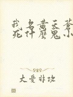 我名黄天苍天已死什么鬼小说笔趣阁