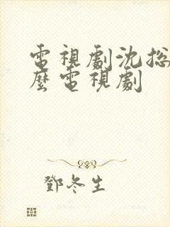 电视剧沈总是什么电视剧