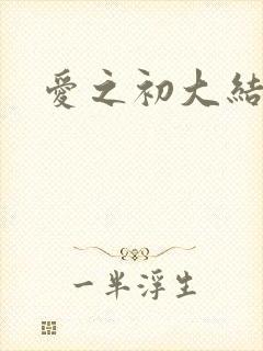 爱之初大结局封面